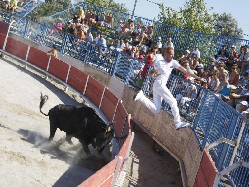 La Palmeraie Istres Εξωτερικό φωτογραφία